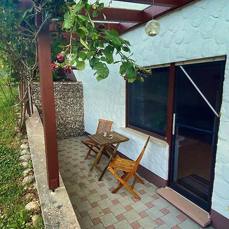 Gemütliche Wohnung mit Neckarblick Eberbach  Exterior foto